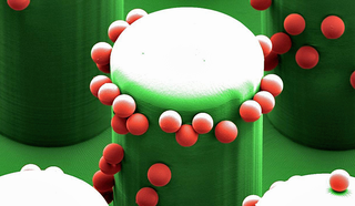 Image: Vanderlick Lab